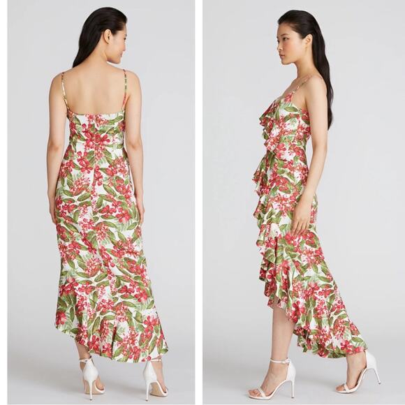 AMUR Deborah High Low Ruffle Scarlet Tropical Floral Maxi Dress Size 6 - Picture 2 of 7